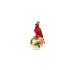 Raz Eric Cortina 5" Elegant Cardinal Glass Christmas Ornament 4353115 6 Raz Eric Cortina 5" Elegant Cardinal Glass Christmas Ornament 4353115 -Christmas Decoration Sale 4353115b 39734.1689693000