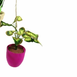 Cody Foster 4.5" Pothos, Snakeplant, Or Fern Christmas Ornament PO-2079 -Christmas Decoration Sale PO 2079C 54197.1691524977